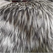 フェイクファー 毛足長め ベージュ 2m 81HUxTu++PL._AC_UL210_SR210,